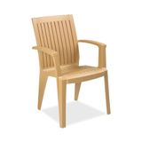 Papatya Alize Koltuk Teak - Plastik Bahçe Balkon Koltuğu - V2