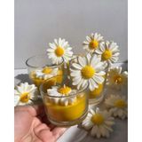 Papatya Modeli Kokulu Bardak Mum - Beyaz - Sarı - Jasmin Lilly