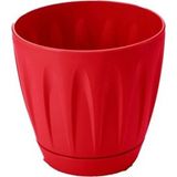 Papatya Saksı 3 Litre NEMERE-P003 - Renkli