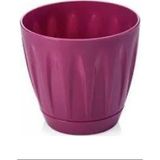 Papatya Saksı 4 Litre ROYALEKS-P004 - # - Çok Renkli