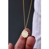 Papatya Silver UVPTS10088 925 Ayar Gold Kaplama 0,01 Karat Pırlanta Beyaz Mineli Gerbera Çiçeği Gümüş Kolye