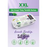 Papilion Easy Clean XXL Lavanta Kokulu Yüzey Temizleme Mendili 100 Yaprak İz Bırakmayan Klor İçermez
