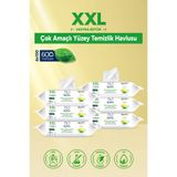 Papilion XXL Limon Kokulu Çok Amaçlı Yüzey Temizlik Havlusu 6'lı 600 Yaprak Ferah Formül Pratik Kullanım