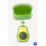 PAPYONPETSHOP Doğal Fileli Kedi Çimi Seti ve Avokado Catnip Kedi Nanesi Oyuncağı Kedi Otu 2si 1 Arada Set