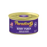 Paradise Air Berry Punch 42 gr Oda ve Araba Kokusu