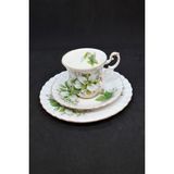 Paragon Trillium Bone China Porselen Duble Kahve Fincanı ve Tabakları 3 Parça 120 ml - 1 Adet - Yeşil