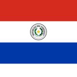 PARAGUAY ÜLKE BAYRAĞI 45x25CM DUVAR TABLOSU ÇERÇEVESİZ PVC TABLO