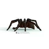 Paraply 13987 Schleich - Aragog - Harry Potter Serisi +3 Yaş Kız Erkek Çocuk Oyuncak Eğitici Oyuncaklar