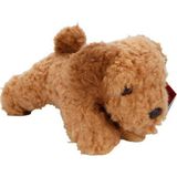 paraply Cockapoo Peluş Köpek 25CM Kız Erkek Çocuk Oyuncak Eğitici Oyuncaklar - Çok Renkli