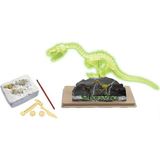 paraply Dinozor Kazma Kiti Velociraptor Iskeleti Kız Erkek Çocuk Oyuncak Eğitici Oyuncaklar - Çok Renkli