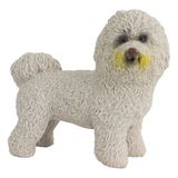 paraply Model Köpek Bichon Frise Kız Erkek Çocuk Oyuncak Eğitici Oyuncaklar - Çok Renkli