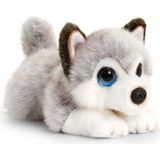 paraply Peluş Köpek Husky 25CM Kız Erkek Çocuk Oyuncak Eğitici Oyuncaklar - Çok Renkli
