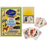 paraply Playwood Gör-Tanı-Öğren Eğitici Resimli Bilgi Kartları Kız Erkek Çocuk Oyuncak Eğitici Oyuncaklar - Çok Renkli