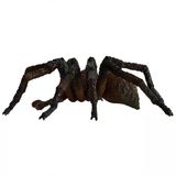 Paraply Schleich Hp Aragog 13987 Kız Erkek Çocuk Oyuncak Eğitici Oyuncaklar