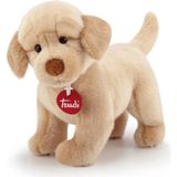 paraply Trudi Peluş Labrador Liam 29CM Kız Erkek Çocuk Oyuncak Eğitici Oyuncaklar - Çok Renkli