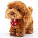 Paraply Trudi Peluş Toy Poddle Oliver Köpek 20Cm Kız Erkek Çocuk Oyuncak Eğitici Oyuncaklar