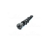 Parça World 636198-WISCO OPEL ASTRA F CORSA A B KADETT E VECTRA A 1.7 TDS 1.7 D 90 EKSANTRIK MILI DOKUM
