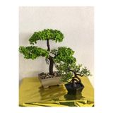 paris dünyası 1 Takım Masaüstü Yapay Bonsai Ağaç Ve 1 Adet Küçük Bonsai Ağaç