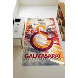Parlak Kadife Kumaş Dijital Baskı Dot Kaymaz Tabanlı Çocuk Ve Genç Odası Halısı H0842 Renkli 80 X 150