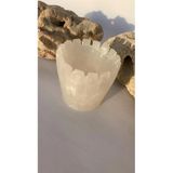Parlak Sedefli Beyaz Renkli Tırtıklı Sukulent Epoksi Saksı El Yapımı Hediyelik