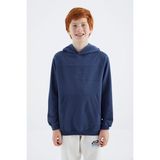 Parlament Kapüşonlu Basic Erkek Çocuk Sweatshirt - 11181