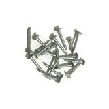 Pars Şıngıl Çivisi 2 cm (100 Gr)