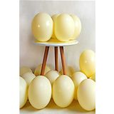 Parti dolabı 10'lu Sarı Makaron Pastel Renk Mat Balon