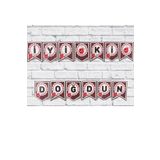 Parti dolabı Uğur Böceği Iyi Ki Doğdun Yazı Lady Bug Banner Kırmızı Siyah Zigzag Doğum Günü Süsü 1,90cm