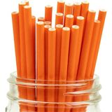Parti Pera Turuncu Kağıt Pipet 24 Adet
