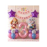 Parti Station Paw Patrol Skye ve Everst Konsept 3 Yaş Doğum Günü Parti Balon Seti