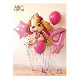 Parti Station Paw Petrol Folyo Set Paw Patrol Skye 4 Yaş Balon Set Konsept Doğum Günü Set Yaş Balon Set