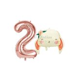 Parti Station Woodland Tavşan Rosegold 2 Yaş Doğum Günü Balon Set PSTAVSANBSR