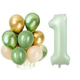 Parti Sürprizi Retro Su Yeşili 1 Yaş Latex Balon Set