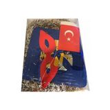 Parti Süsü Orta Boy