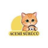 Parti Tasarla Acemi Sürücü Sevimli Kedi Araba Etiketi & Sticker Çok Renkli