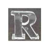 PARTİ VİTRİNİ R Harfi Şeklinde Silikon Epoksi Kalıbı 8.5x8x2 Cm