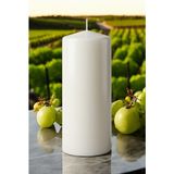 Paşa Cam Pasa Cam Silindir Mum Blok Mum Kütük Mum Beyaz Renk 10 cm Genişlik 30 cm Uzunluk Kahve Kokulu El Işçiliği- - 10 x 30 Kahve Kokulu Beyaz