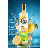 Paşa Kuruyemiş Limon Sarımsak Sirkesi 500 ml - 500,1 gr