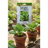 Paşa Tohum Paşa Ispanak Tohumu 10 gr