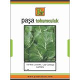 Paşa Tohumculuk Yaprak Lahana Tohumu (Karden) 10 gr