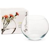Paşabahçe 43417 Botanica Küçük Boy Vazo Fanus - Şeffaf
