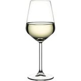Paşabahçe 440080 Allegra Ayaklı Kadeh 350CC 2'li Cam Malzeme ile Şık Sunum İçin Beyaz Renk - 350 ml