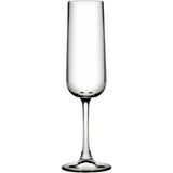 Paşabahçe 440413 Casual 6 Parçalı Şampanya Kadehi 165 cc Şeffaf Cam ile Şık Sunum - 165 ml