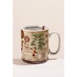 Paşabahçe Coffee Knowledge Porselen Kupa, 350 ml, Çok Renkli