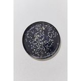 Paşabahçe Cosmos Tabak 28 cm - 1 Adet