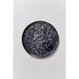 Paşabahçe Cosmos Tabak 28 cm, Çok Renkli