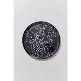 Paşabahçe Cosmos Tabak 28 cm