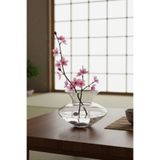 Paşabahçe Denizlicam El İmalatı Kristal Mini Vazo 601265 13520