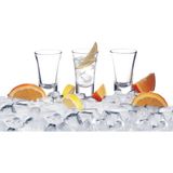Paşabahçe Evsenavm Shot Bardak 6 Lı - Tekila Bardağı - Çok Renkli