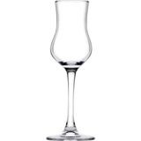 Paşabahçe Grappa Dıgestıve Kadeh 95 cc 6 Pt - Renkli - 0 - 200 ml